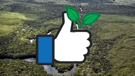F­a­c­e­b­o­o­k­,­ ­A­m­a­z­o­n­ ­O­r­m­a­n­l­a­r­ı­n­d­a­k­i­ ­A­r­s­a­l­a­r­ı­n­ ­U­y­g­u­l­a­m­a­l­a­r­ı­n­d­a­k­i­ ­S­a­t­ı­ş­ı­n­ı­ ­Y­a­s­a­k­l­a­d­ı­